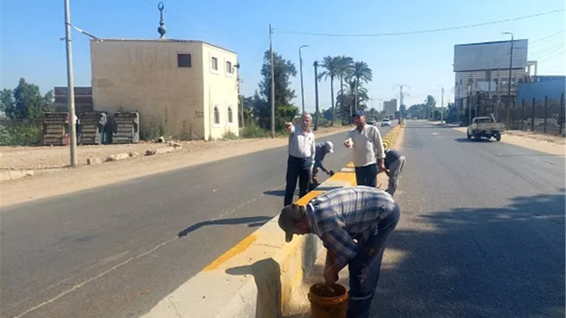 استمرارحملات النظافة بمركز ومدينة دسوق