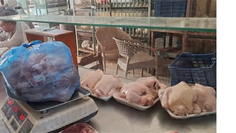 ضبط لحوم ودواجن غير صالحة للاستهلاك ببيلا