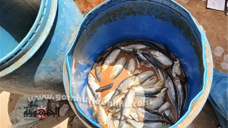حملات رقابية مكثفة على الأسواق في المنوفية
