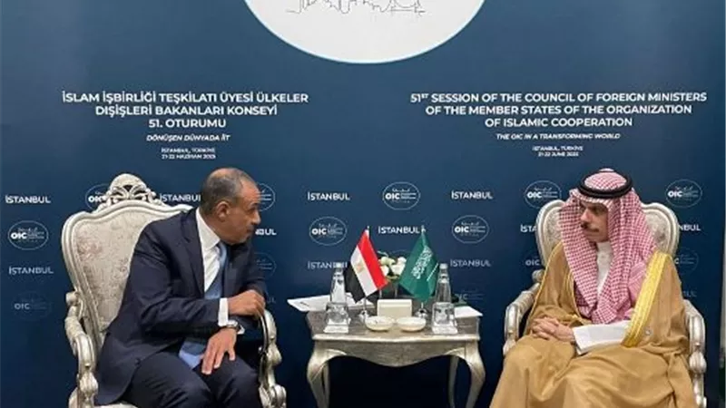وزير الخارجية والهجرة يلتقي بنظيره السعودي