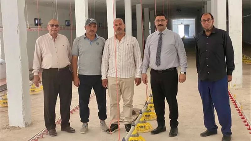 نقلة نوعية نحو تحقيق الاكتفاء الذاتى من اللحوم البيضاء بسوهاج