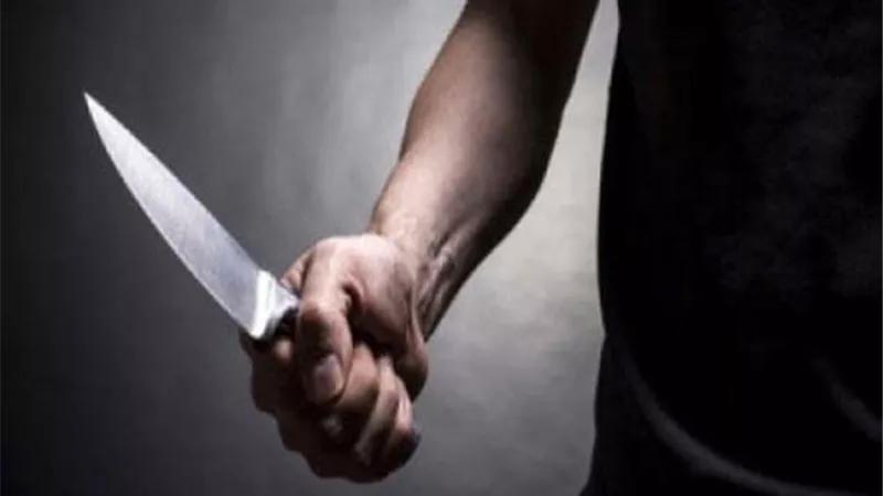 طعن زوجته وزوجة شقيقه ثم حاول الانتحار فى أبو النمرس