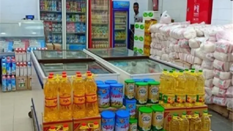 شعبة المستوردين: الحكومة تعمل وفق خطة إستراتيجية محكمة لتأمين السلع