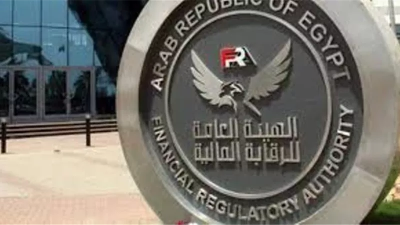 الرقابة المالية: بذلنا جهودا كبيرة بمجال التحول الرقمي