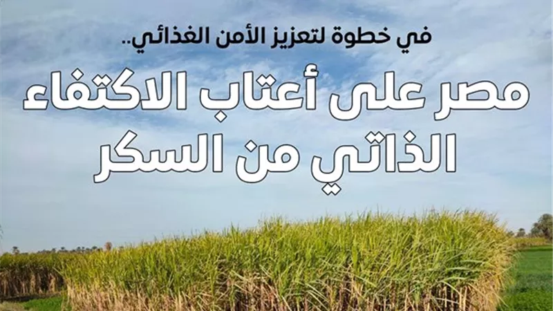 الحكومة: مصر لن تكون بحاجة لاستيراد السكر بدءًا من 2026