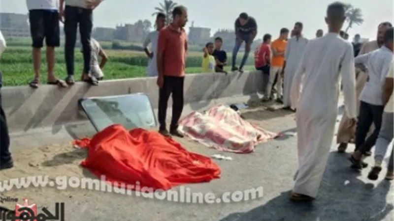 رضوى الشربينى ناعية شهداء الطريق الإقليمى:نسأل الله أن يصبر أهلهم