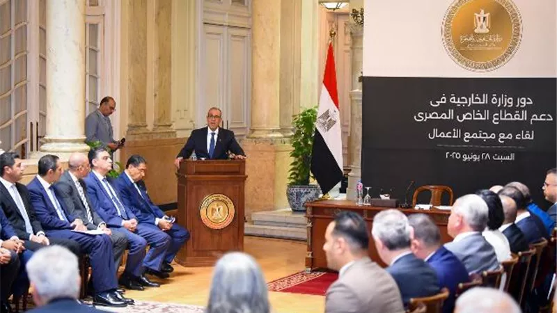 وزير الخارجية: نحرض على توظيف سفاراتنا لدعم الصادرات والسياسة الاقتصادية للدولة