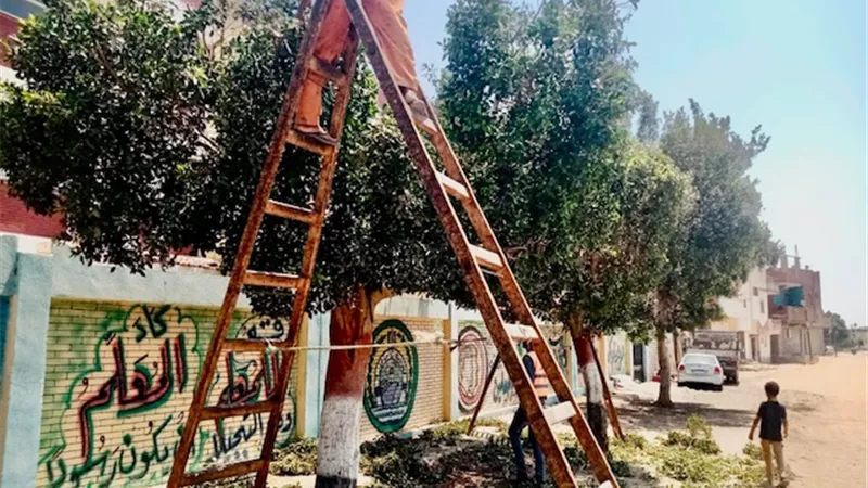 جهود مكثفة لتطوير وتجميل شوارعها