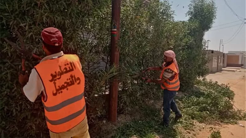 تطوير وتجميل قرية الحجاز بالإسماعيلية..صور