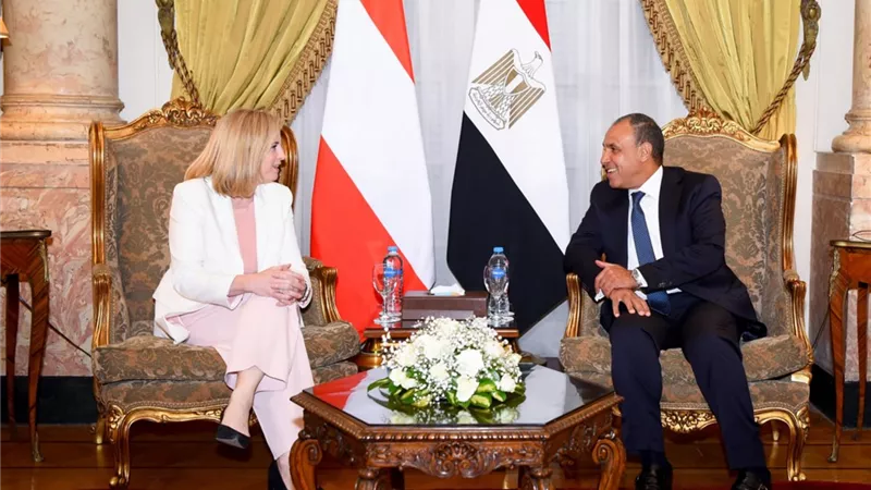 وزير الخارجية يجرى مشاورات سياسية مع نظيرته النمساوية