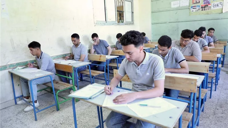 توزيع درجات اللغة الانجليزية لـ الثانوية العامة 2025