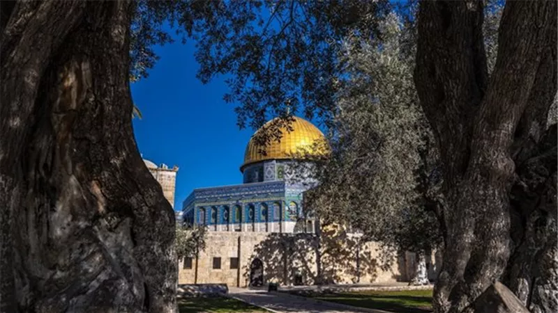 إصابة 3 فلسطينيين برصاص مستوطنين شمال شرق القدس