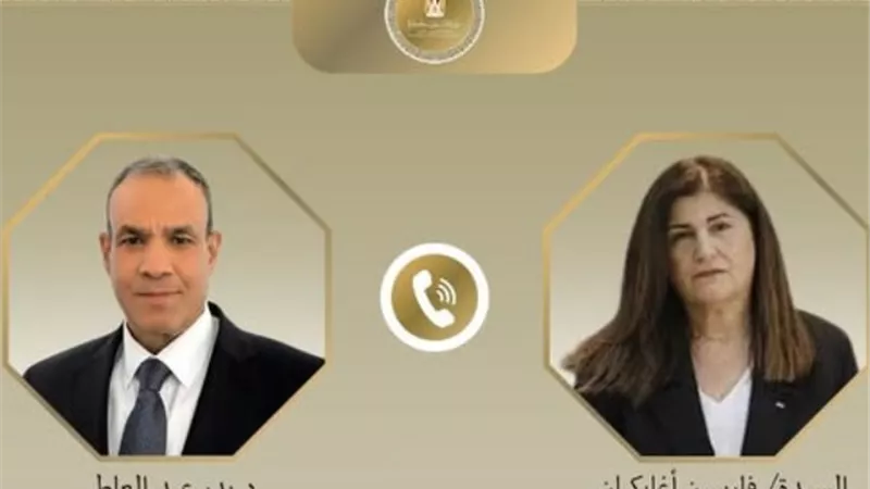 عبدالعاطي يؤكد موقف مصر الراسخ الداعم للشعب الفلسطيني وحقوقه المشروعة