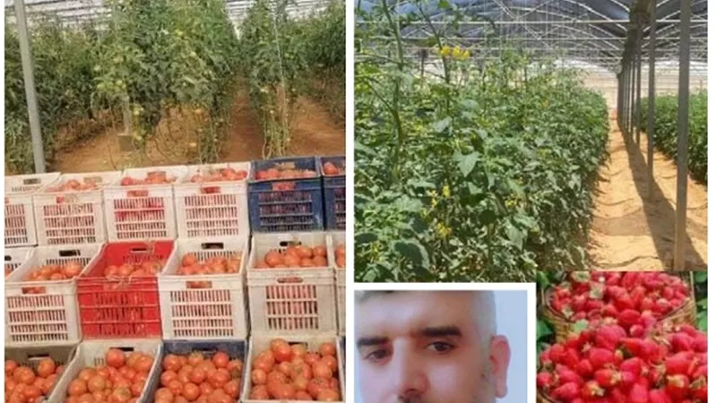 الزراعة أكثر القطاعات استفادة من.. ثورة ٣٠ يونيو المجيدة