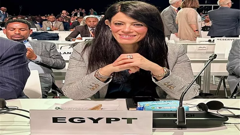 المشاط: الدول النامية تتحمل العبء الأكبر من أزمة الديون العالمية
