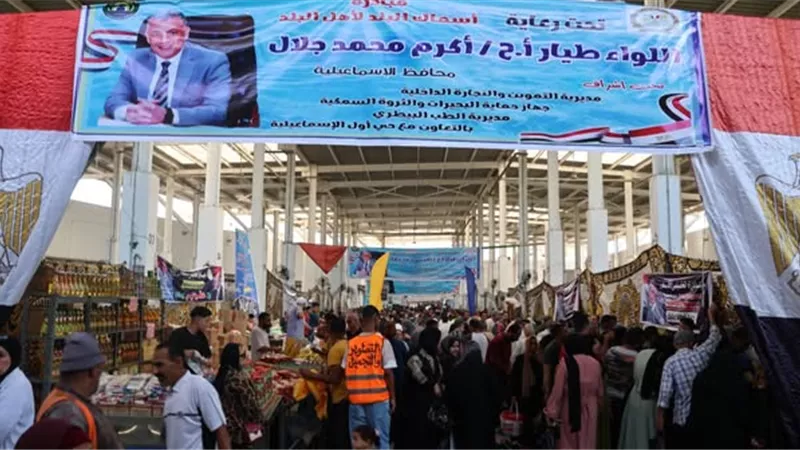 مواصلات مجانية وسلع مخفضة بمبادرة أسماك البلد في الإسماعيلية