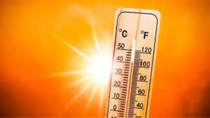 حرّ الصيف بين واقع المناخ وهدي النبوة..كيف نواجه القيظ