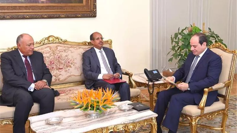 الرئيس السيسي يستقبل وزير الخارجية والتعاون الدولي لجمهورية جيبوتي