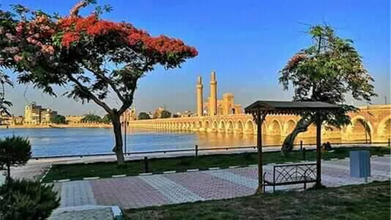 مارثون للدرجات بالقناطر الخيرية.. غدا