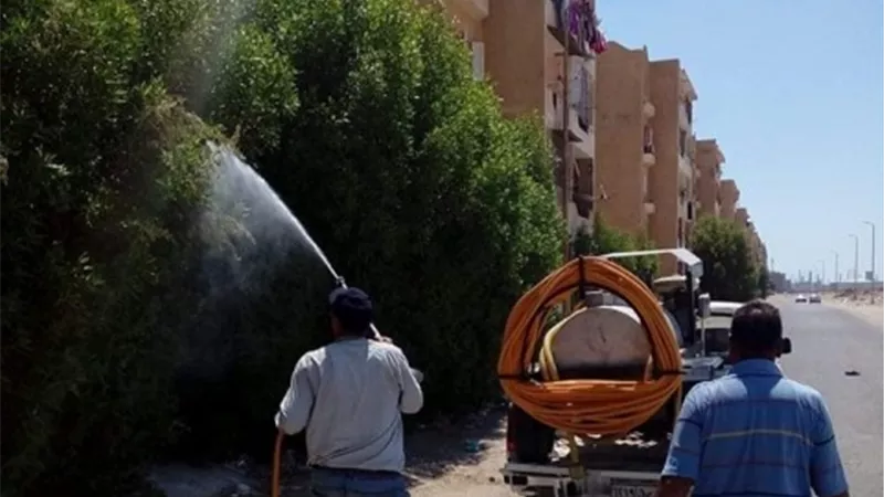 فرق الإدارة العامة للأمراض المتوطنة تكثف عملها في الجناين وعتاقة لمكافحة الحشرات