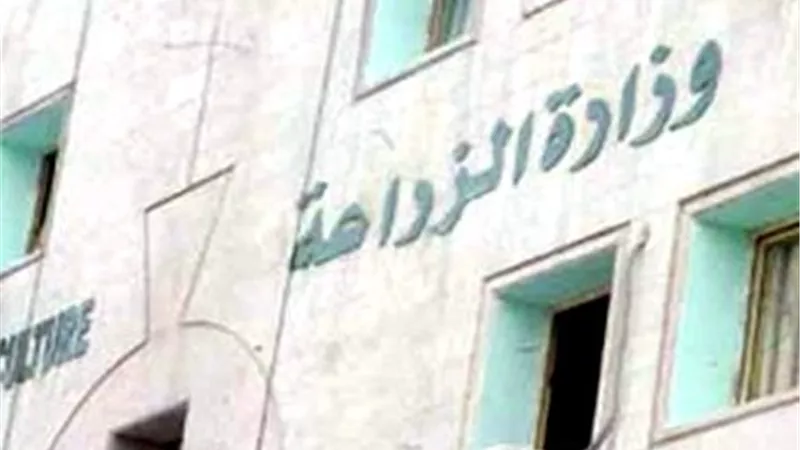 الزراعة تنفى انتشار مرض الحمى القلاعية بين الماشية