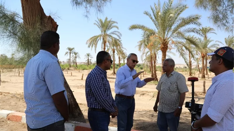 محافظ قنا يتفقد مشروعات الامن الغذائي بالمعنى..صور