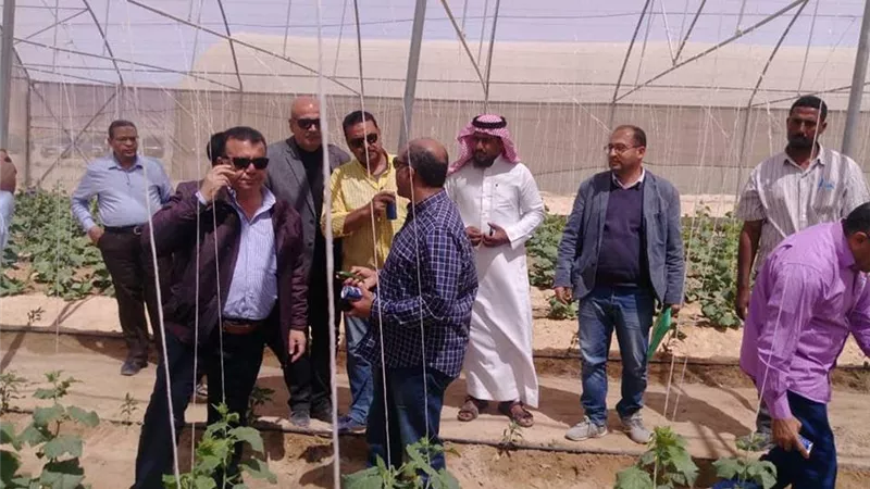 920 مليون جنيه لتنفيذ مشروعات بمدن القناة وسيناء