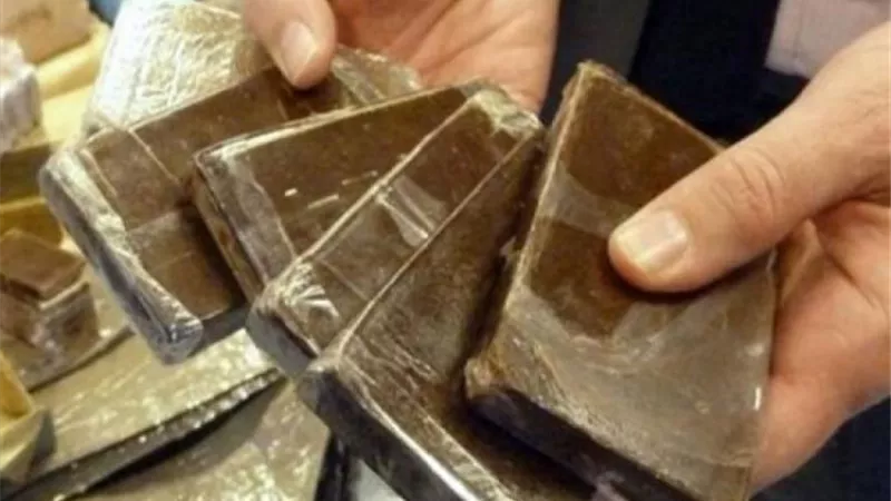 ضبط ماكس وكمية كبيرة من الحشيش فى حملة مكبرة بسوهاج