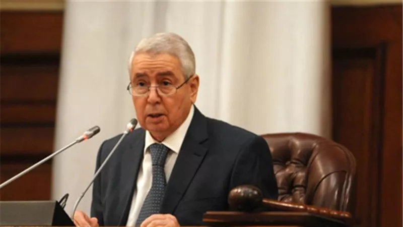 الجزائر .. اقالة الأمين العام للهيئة العليا لمراقبة الانتخابات من منصبه