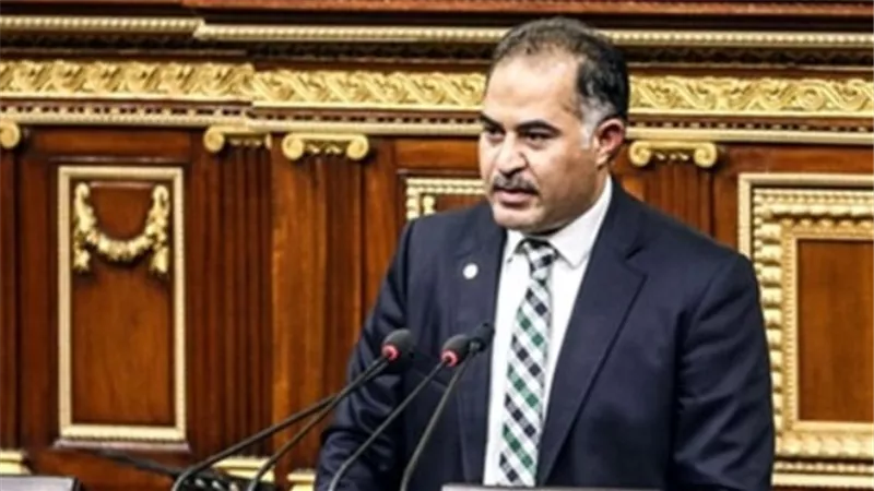 وكيل النواب: السيسي تكلم بكل صراحة ووضوح وشفافية مع الشعب الذي يصدقه ويؤمن به