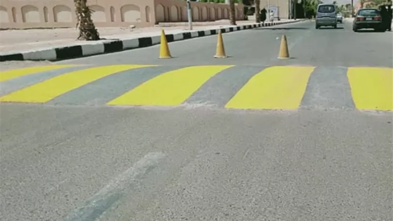 تجميل المناطق المحيطة بالمدارس بطور سيناء