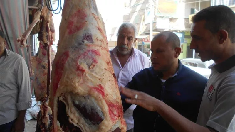 ضبط 620 كجم لحوم فاسدة وسلع مجهولة المصدر بسوهاج