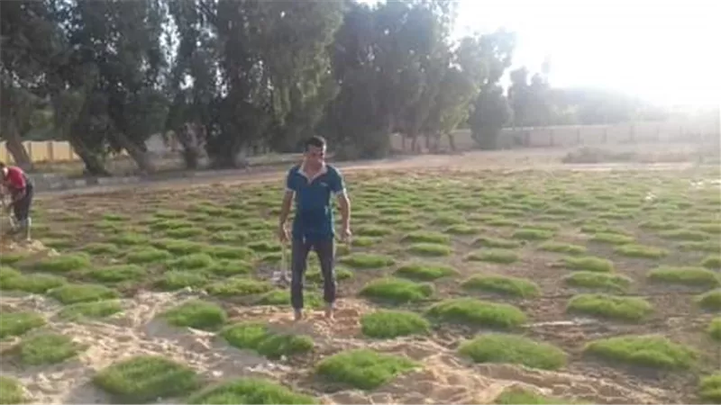 المدارس الخضراء تستقبل طلابها مع بداية العام الدراسي بالوادى الجديد