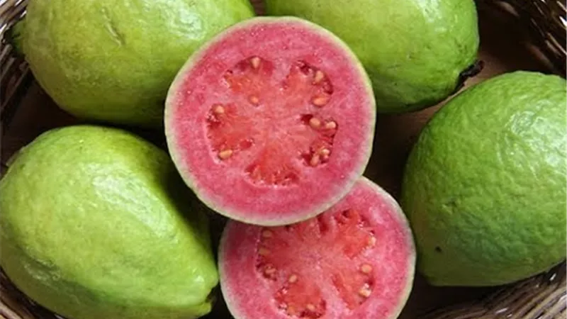 الجوافة الحمراء تعالج سرطان الثدي والبروستاتا