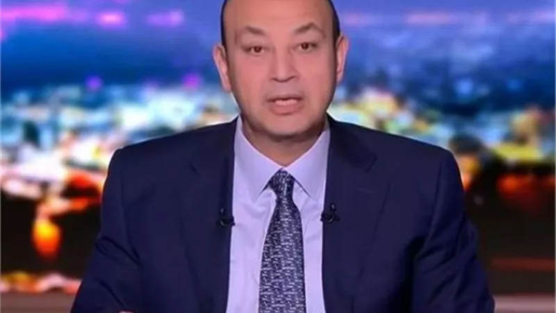اديب: السيسى ضحى بنفسه ورفض تسليم مصر لمخططات لاخوان