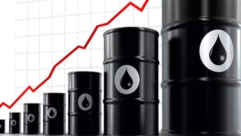أسعار النفط تهبط بعد 