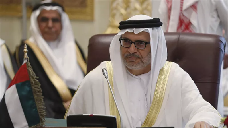 وزير الخارجية الاماراتى عبر تويتر ... حملة الإخوان ضد مصر فشلت