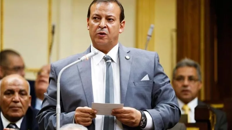 حسين أبو جاد : المصريون بامريكا يرفعون اسم مصر امام العالم باستقبالهم الحافل للسيسى