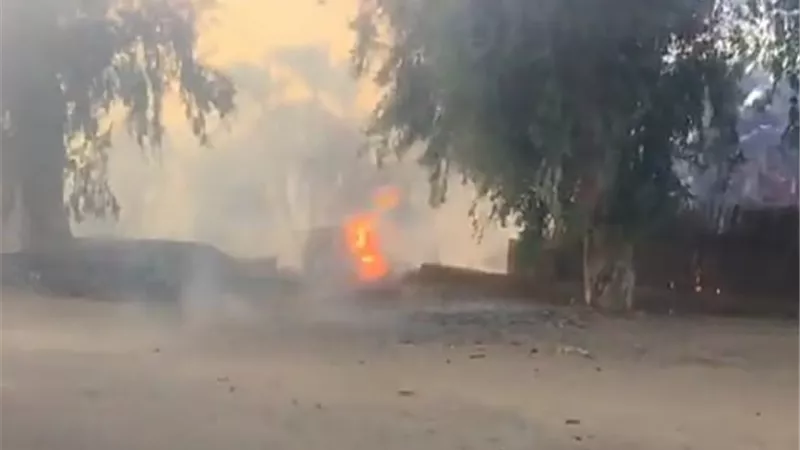 حريق هائل بإحدى مزارع النخيل بالوادى الجديد