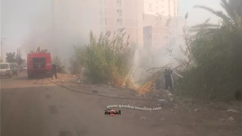 السيطرة على حريق بكميات من البوص والمخلفات بكفر الجزار ببنها