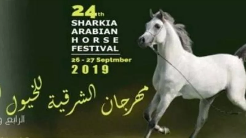 انطلاق فعاليات مهرجان الشرقية للخيول العربية..الخميس القادم