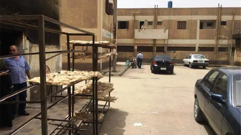 خبز بالحشرات يثير الذعر فى مدينة الصالحية الجديدة فى غياب الرقابة بالصور