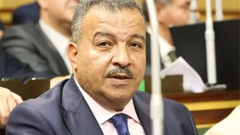 رئيس صحة النواب: تطبيق منظومة التأمين الصحي بالأقصر أكتوبر القادم
