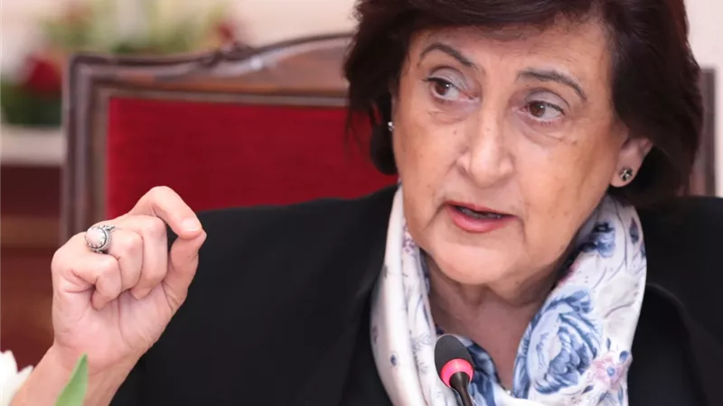 المرأة العربية: نسعي إلى التعاون مع المنظمات الوطنية والدولية للنهوض بأوضاع المرأة