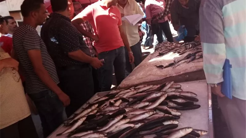 ضبط اسماك بورى غيرصالحة