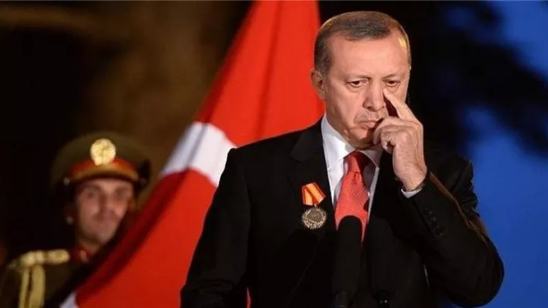 الخارجية المصرية تصفع أردوغان.. فيديو