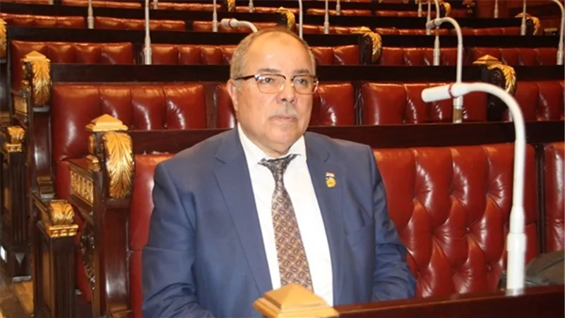 النائب إسماعيل نصر الدين: المصريين يمتلكون بوصلة وطنية لا تحيد عن حب الوطن