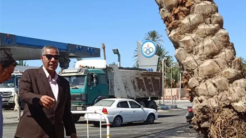 البدأ فى زراعة النخيل بشارع أحمد حمدى وسط مدينة طور سيناء