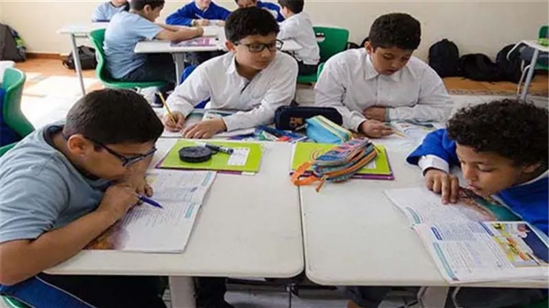 أهمية الأنشطة الـ