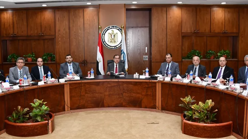 وزير البترول يرأس اجتماع اللجنة العليا لمؤتمر ايجبس 2020